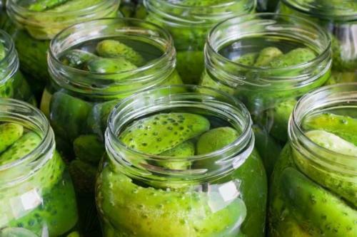 Что такое засолочные огурцы