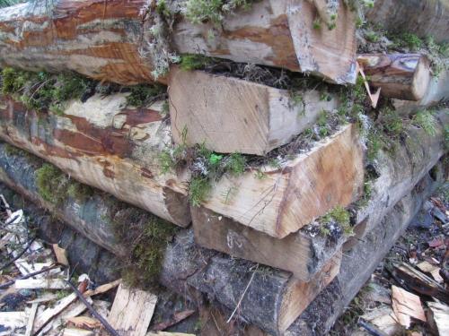 Как построить дом в. Подготовка участка 19