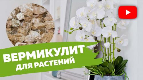 Как смешивать вермикулит с землей. Вермикулит