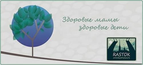 Как черенковать цветущую хризантему мультифлора: пошаговое руководство 02