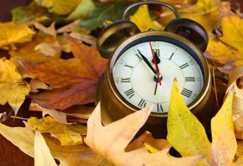 При какой температуре можно сажать деревья осенью. При какой температуре можно сажать саженцы осенью