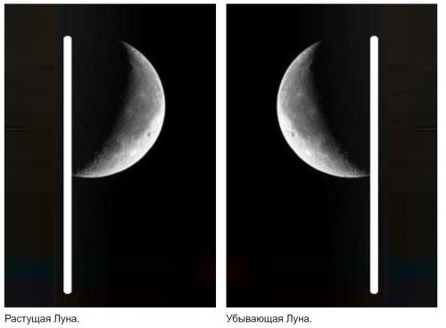 Что сегодня можно сажать в открытый грунт. Процессы, происходящие в растениях в  зависимости от фазы лунного цикла