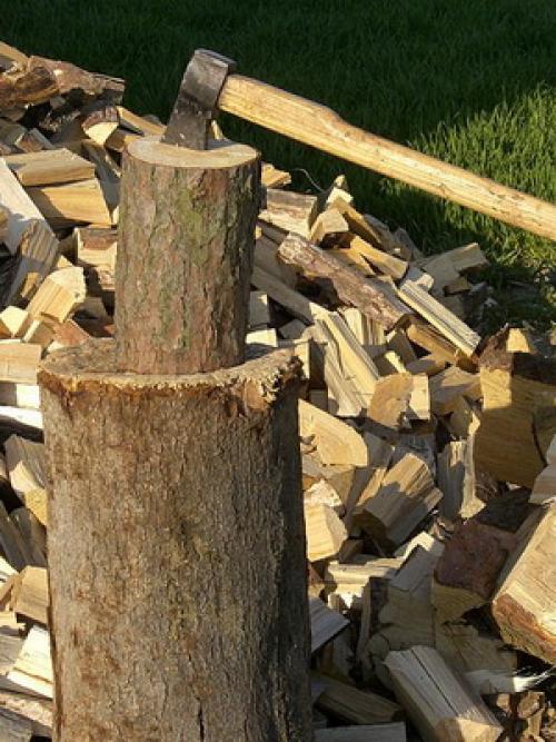 На какую луну можно сажать фруктовые деревья. Лунный календарь со знаками зодиака в огороде: Овен, Телец и Близнецы