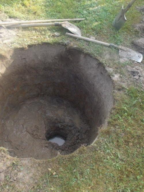 На какую луну можно сажать фруктовые деревья. Лунный календарь со знаками зодиака в огороде: Овен, Телец и Близнецы