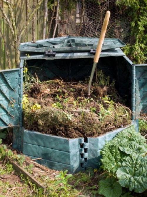 На какую луну можно сажать фруктовые деревья. Лунный календарь со знаками зодиака в огороде: Овен, Телец и Близнецы