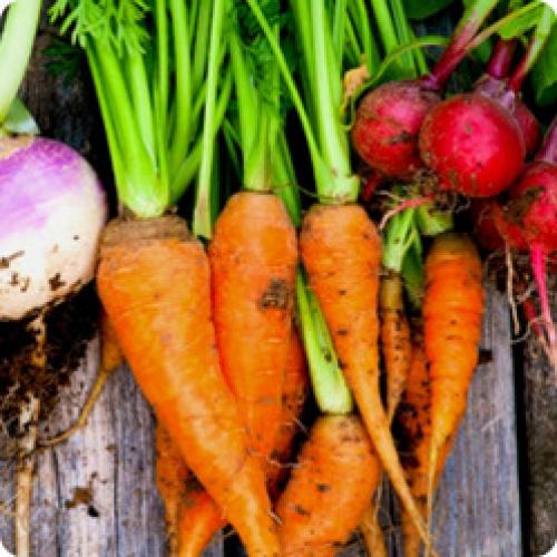 Когда можно сажать огород. ВОПРОСЫ – ОТВЕТЫ