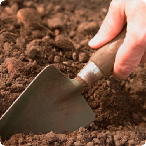 Когда можно сажать огород. ВОПРОСЫ – ОТВЕТЫ