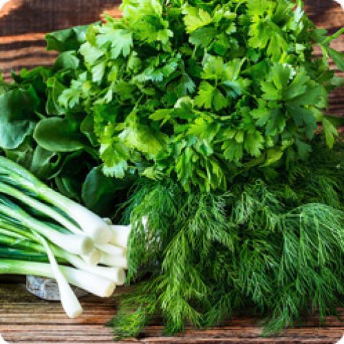 Когда можно сажать огород. ВОПРОСЫ – ОТВЕТЫ