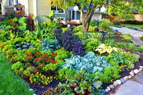 Что можно посадить в открытый грунт. Что вырастить на огороде