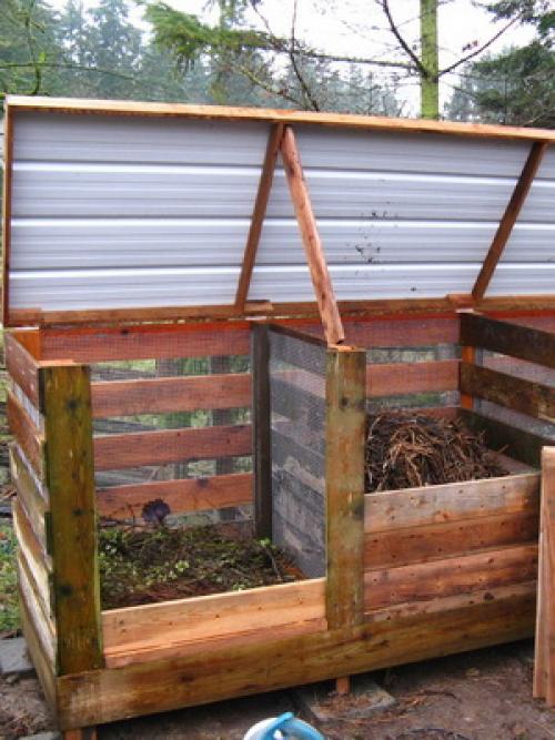 На какую луну можно сажать фруктовые деревья. Лунный календарь со знаками зодиака в огороде: Овен, Телец и Близнецы