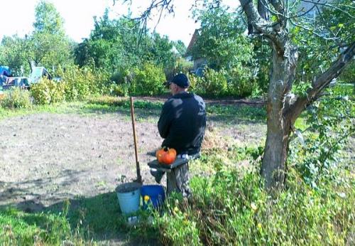 Что можно посадить в октябре. Что мы сажаем и сеем в октябре: октябрьская народная шпаргалка