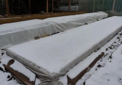 Какие многолетники сажать под зиму. 12 цветов, которые можно посадить осенью под зиму + Правила посадки