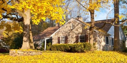 Что посадить в октябре на даче. Дача в октябре: перечень работ, которые можно выполнить самостоятельно