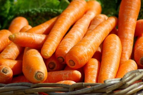 Оранжевая морковь. Почему морковь оранжевая