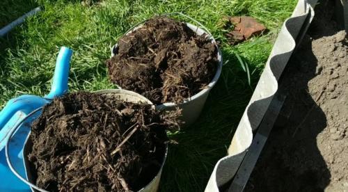 До какой температуры можно сажать деревья. Как правильно сажать деревья осенью: сроки, этапы посадки и разновидности