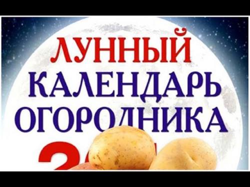 Что сажать в сентябре 2022 на огороде. Что сажать в сентябре на даче в открытый грунт 03