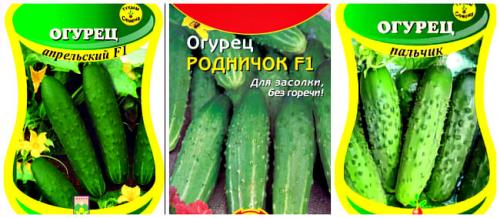 Благоприятные дни для посадки огурцов в мае 2022 года. 10 Базовых Правил когда и как сажать огурцы на рассаду в 2022 году по лунному календарю