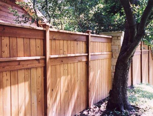 Нормы посадки деревьев и кустарников. Нормы посадки деревьев по отношению к забору соседнего участка