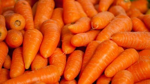 Самые сладкие сорта моркови. Обзор самых сладких и урожайных сортов и гибридов моркови