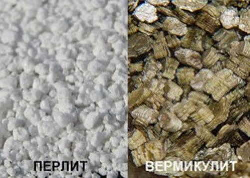 Перлит и вермикулит в строительстве. Вермикулит и перлит: в чем отличия?