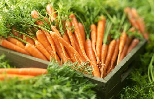 Что еще можно посадить в огороде в июне. Посев моркови