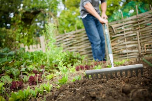 Что посадить в июне 2022 на огороде на даче. Удачный ЛУННЫЙ ПОСЕВНОЙ календарь на ИЮНЬ 2022 года 01 Что посадить в июне 2022 на огороде на даче. Удачный ЛУННЫЙ ПОСЕВНОЙ календарь на ИЮНЬ 2022 года 01