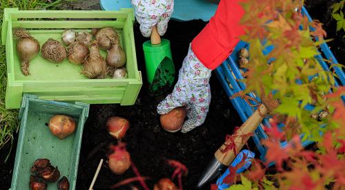 Чем занимаются люди осенью в саду и огороде. Осенние работы в саду и огороде в сентябре 09 Чем занимаются люди осенью в саду и огороде. Осенние работы в саду и огороде в сентябре 09