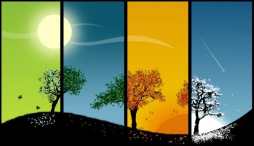 Чем занимаются люди осенью в саду и огороде. Осенние работы в саду и огороде в сентябре 10 Чем занимаются люди осенью в саду и огороде. Осенние работы в саду и огороде в сентябре 10