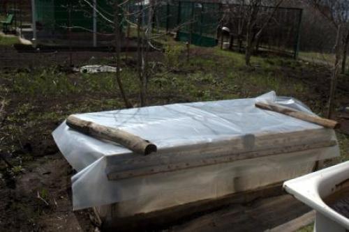 Какие работы идут до поздней осени в садах и огородах. Календарь работ дачника