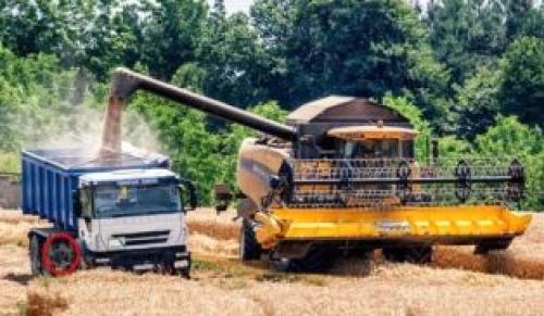 Что делают люди осенью. Посадка растений осенью