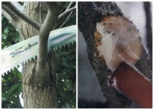 Как загустить жидкое стекло. Жидкое стекло — 12 способов применения на стройке, в быту и в хозяйстве