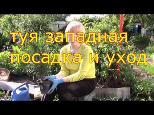 Золотые правила осенних посадок. Правила осенней посадки 06