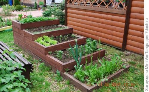 Грядки из дпк форум. Опыт — сын ошибок трудных, или Мои телодвижения с грядками