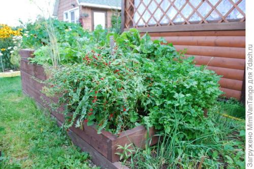 Грядки из дпк форум. Опыт — сын ошибок трудных, или Мои телодвижения с грядками