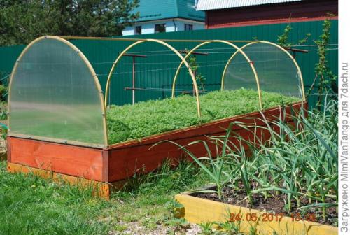 Грядки из дпк форум. Опыт — сын ошибок трудных, или Мои телодвижения с грядками