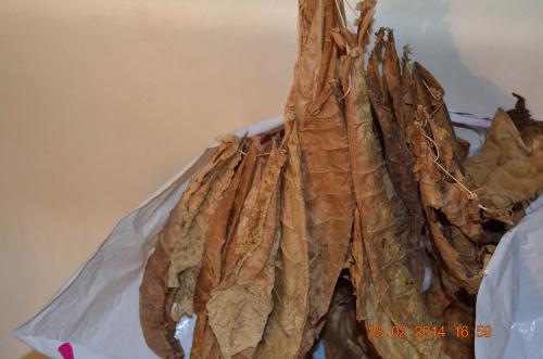 Ферментация табака в бочке. Ферментация табака с Ромом