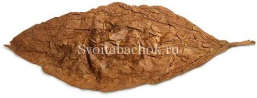 Как правильно ферментировать табак в домашних.. Основные способы ферментации в домашних условиях 12