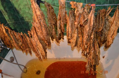 Ферментация табака в бочке. Ферментация табака с Ромом