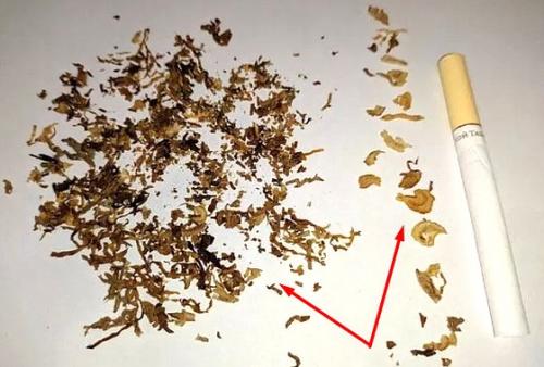 Из чего делают сигареты. Из чего сейчас делают сигареты в России