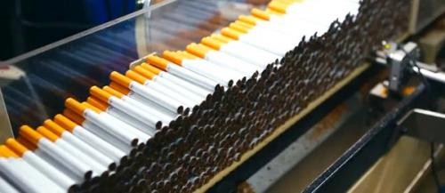 Из чего делают сигареты. Из чего сейчас делают сигареты в России