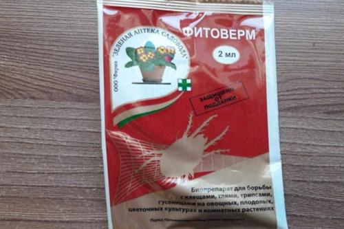 Табачная пыль для огурцов. 6 средств помогут спасти урожай огурцов, если им угрожает паутинный клещ