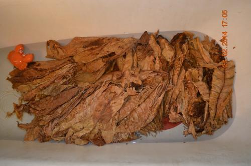 Ферментация табака в бочке. Ферментация табака с Ромом