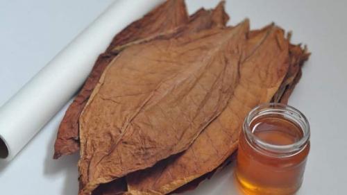 Махорка без ферментации. Что такое ферментация табака и для чего она нужна