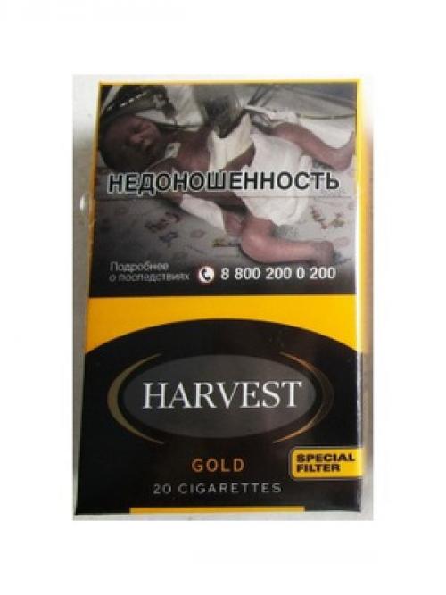 Топ сигарет с хорошим табаком. Список сигарет, содержащих настоящий табак — ТОП-12 на 2022 год