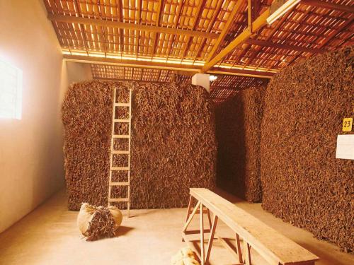 Способы и секреты ферментации табака. Как ферментировать табак в домашних условиях, используя эффективные способы 05