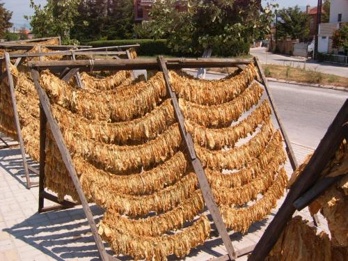 Как смягчить табак. Как уменьшить крепость домашнего табака