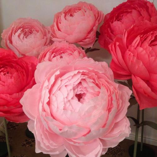 Цветы на стене декор. Цветы на стене – советы по применению цветов в дизайне интерьера. Красивые сочетания и интересные варианты оформления (85 фото + видео)