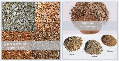Что такое вермикулит и для чего. Что такое вермикулит и 10 способов его применения в саду, огороде и для комнатных растений