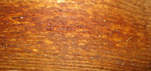 Вещества ускоряющие высыхание олифы это. Олифа натуральная — особенности и свойства 04