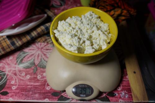 Творог с хлористым кальцием рецепт пропорции. 